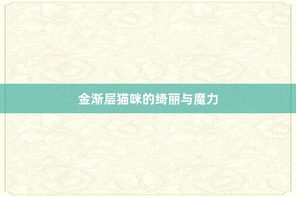 金渐层猫咪的绮丽与魔力