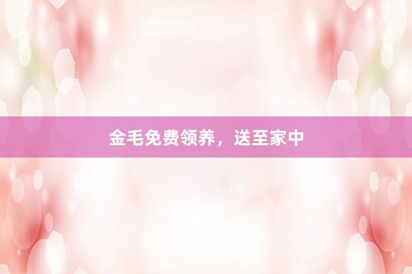 金毛免费领养,送至家中